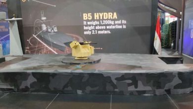 Amstone: An Egyptian Pioneer in the Defense Industry