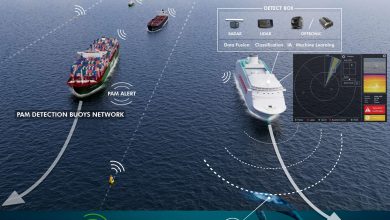 Launch of the LIFE-SEADETECT project led by Naval Group for the protection of cetaceans