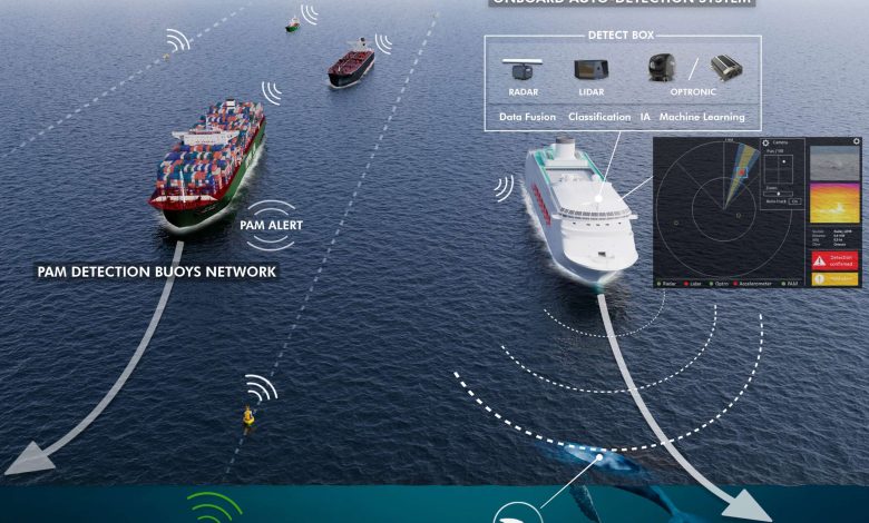 Launch of the LIFE-SEADETECT project led by Naval Group for the protection of cetaceans