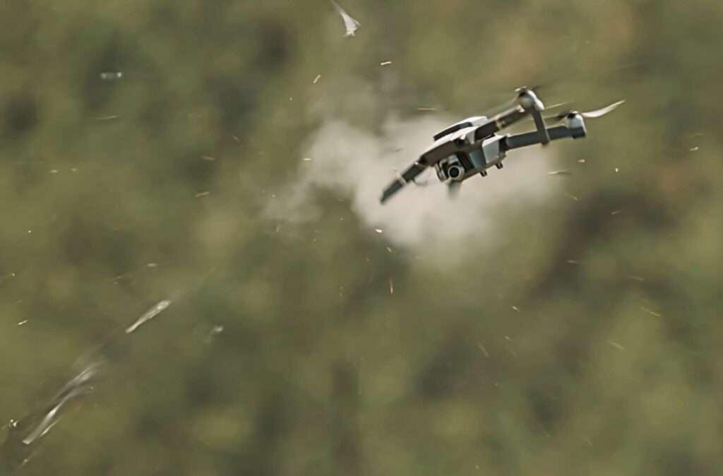 TriAD System in Action